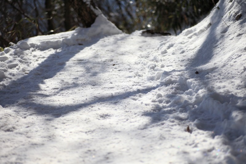 5D_金時山_登山道の雪1