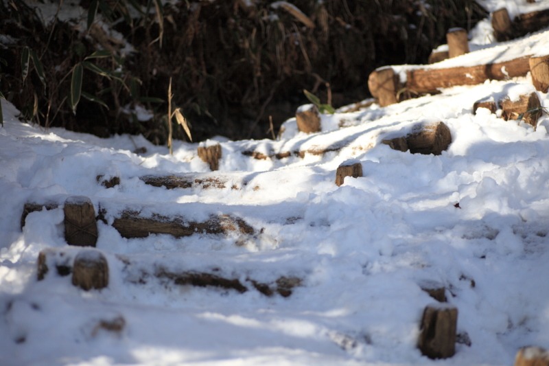 5D_金時山_登山道の雪2