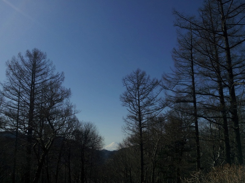 4.富士見平小屋からの富士