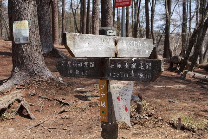20.ブナ坂