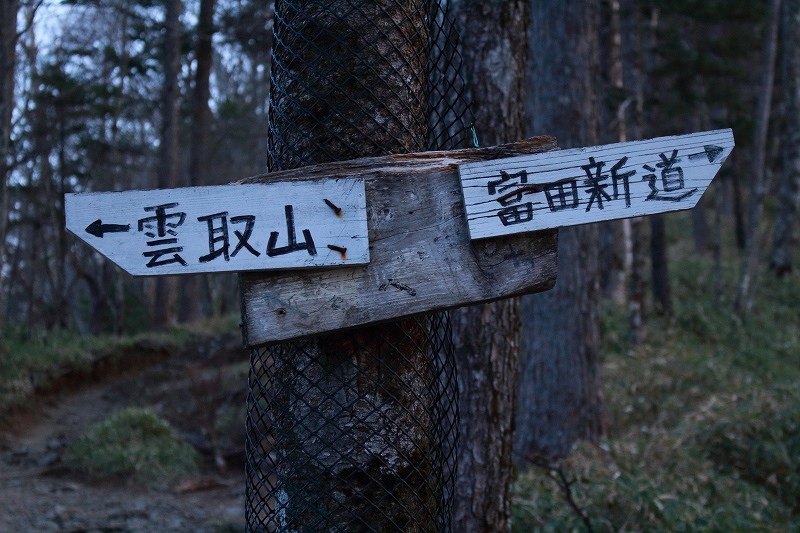 47.分岐アップ