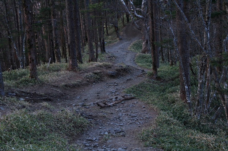 48.朝登山道1
