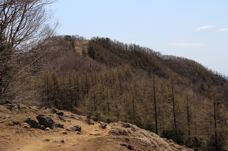 22.七ツ石山