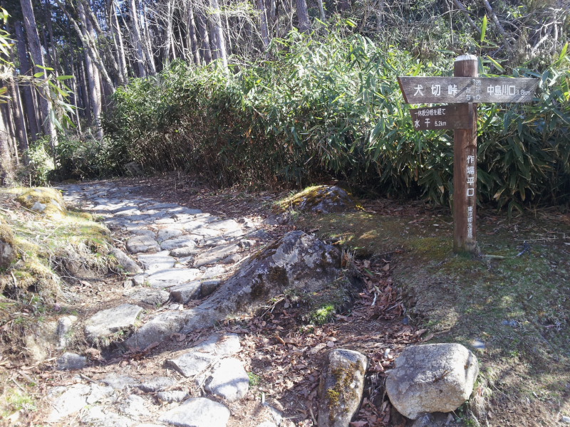 1.登山口