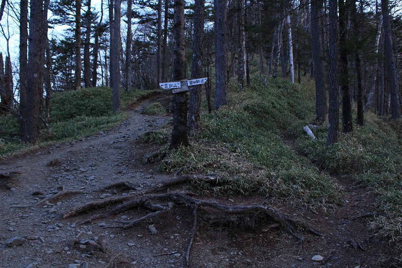 46.富田新道分岐