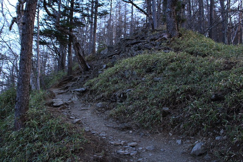 49.朝登山道2