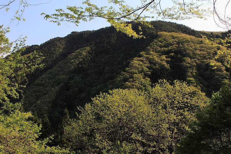 08.山景色
