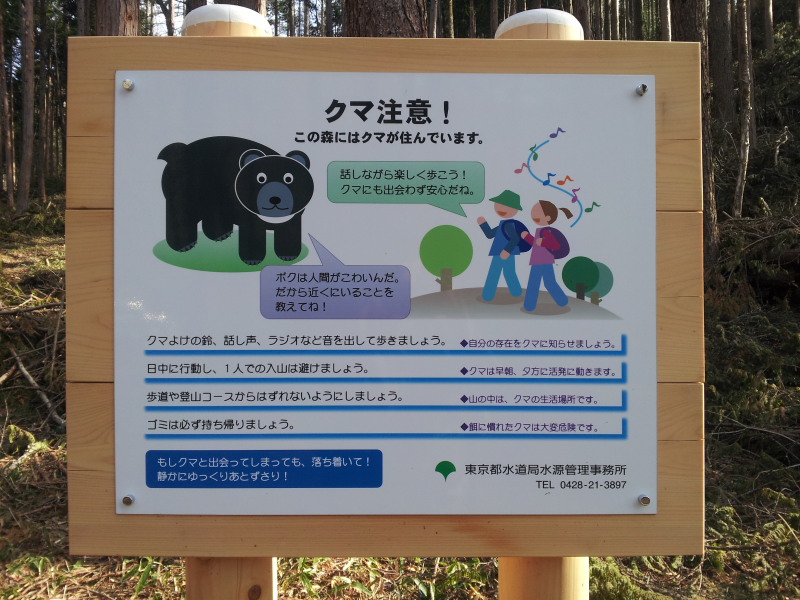 2.この森にはクマが住んでいます