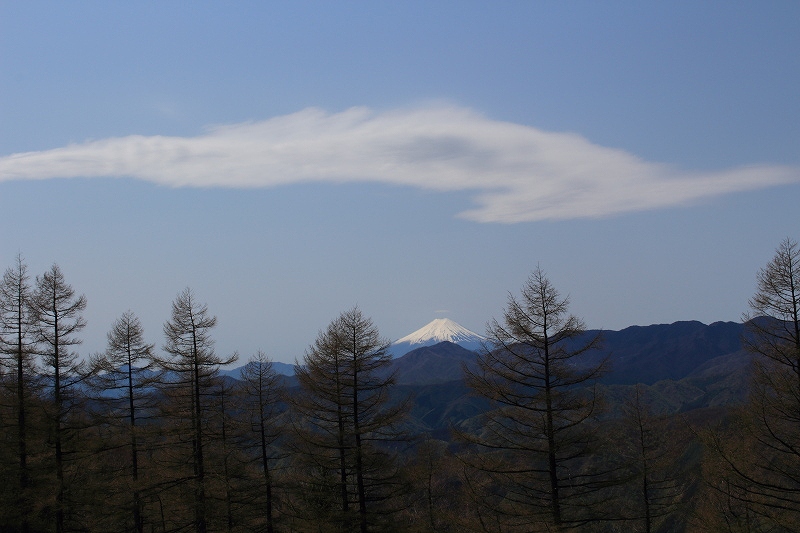 26.富士とタツノオトシゴ
