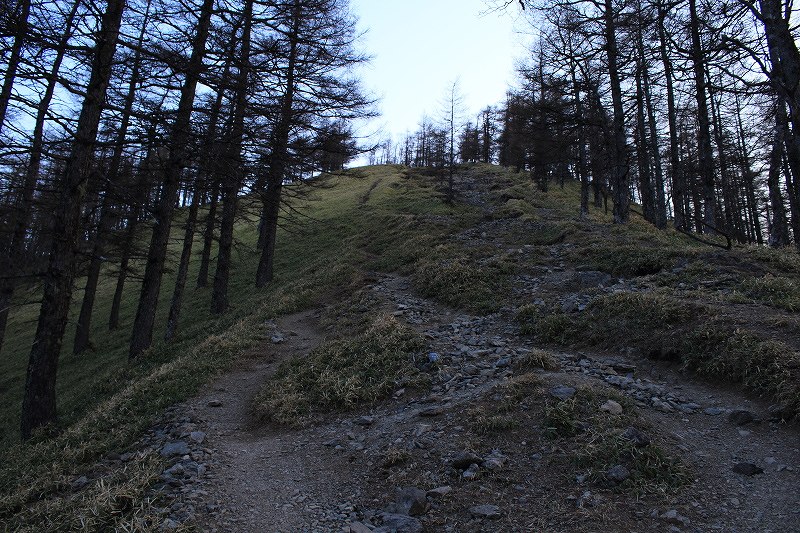 54.朝登山道5