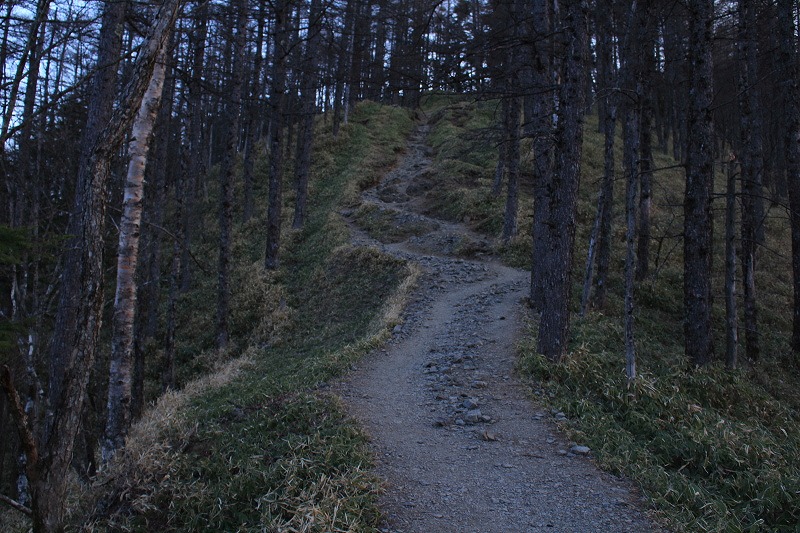 50.朝登山道3