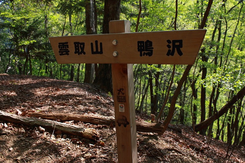 11.道標