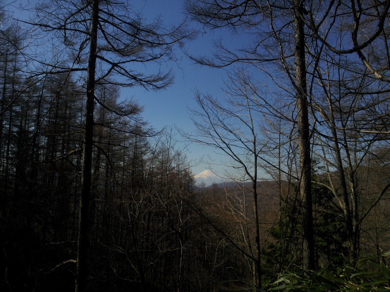 8.登山道からの富士