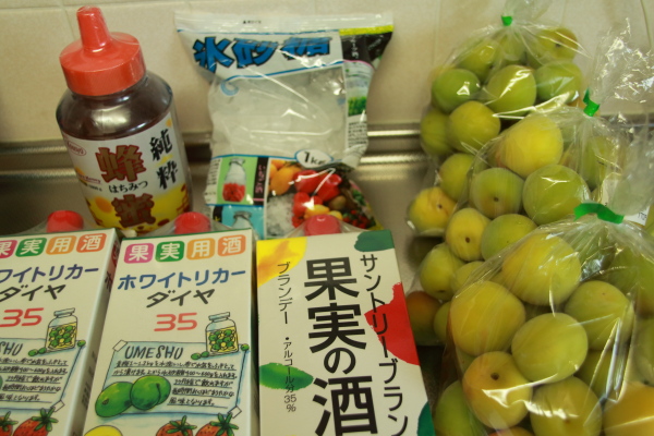 梅酒作りに用意したもの