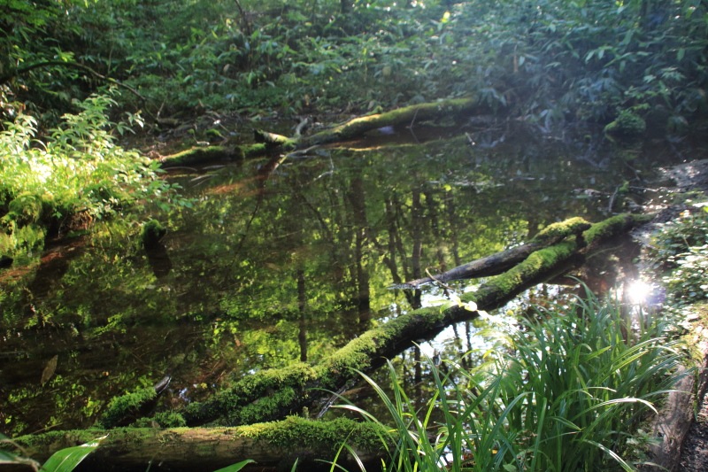常念岳【登山編】古池