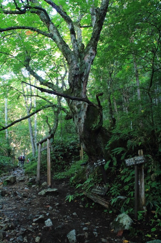 常念岳【登山編】山の神