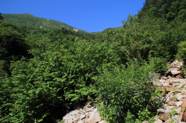 常念岳【登山編】稜線見えた