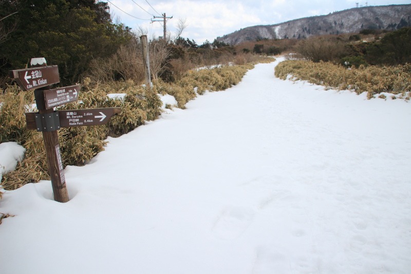 戸田峠-金冠山_レストハウス分岐