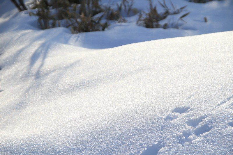 戸田峠-小達磨山_雪