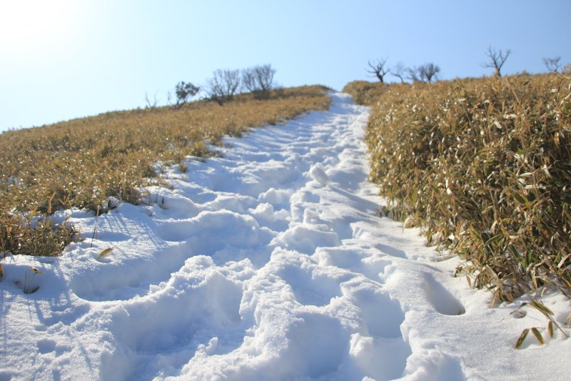 西伊豆スカイライン-達磨山_登山道1