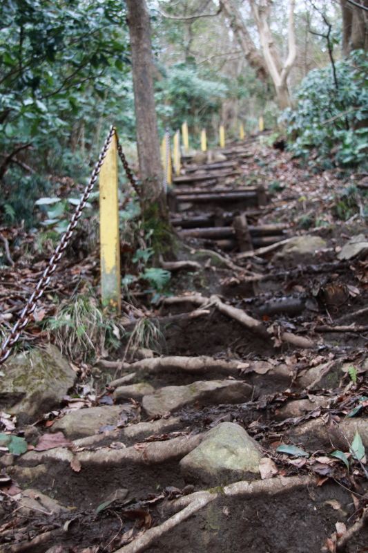 徳倉山-横山峠_登山道