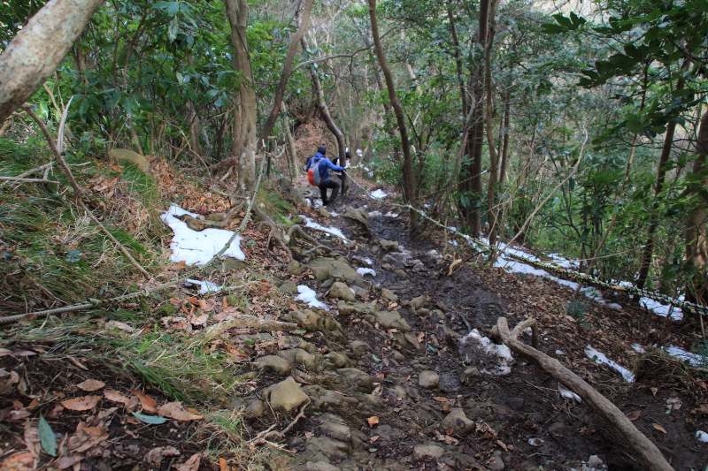 小鷲頭山-志下峠_登山道