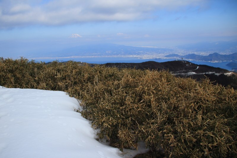 達磨山_山頂からの富士2