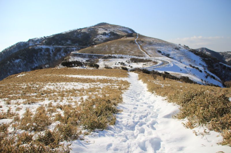 小達磨-西伊豆スカイライン_登山道