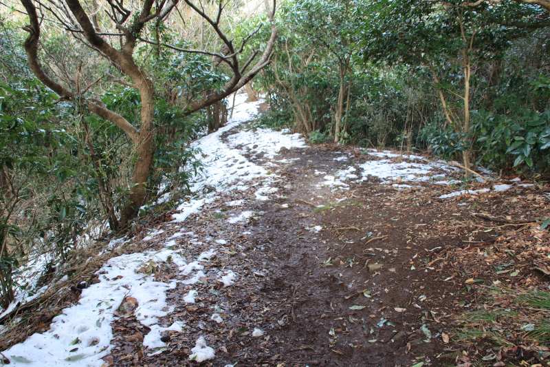 鷲頭山-小鷲頭山_登山道