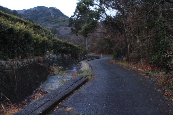 多比登山口-多比口峠_林道
