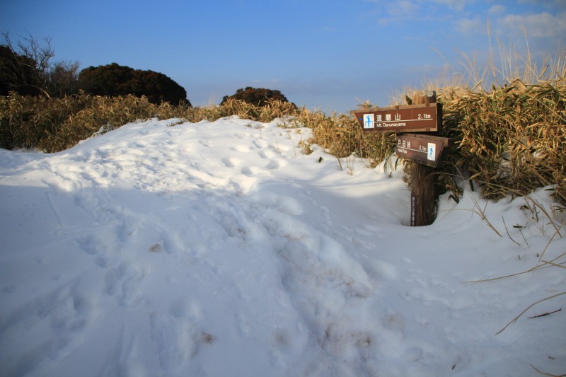 戸田峠-小達磨山_登山道1