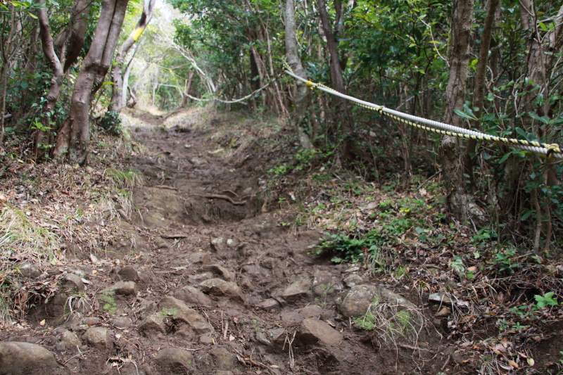 志下坂峠-徳倉山_登山道