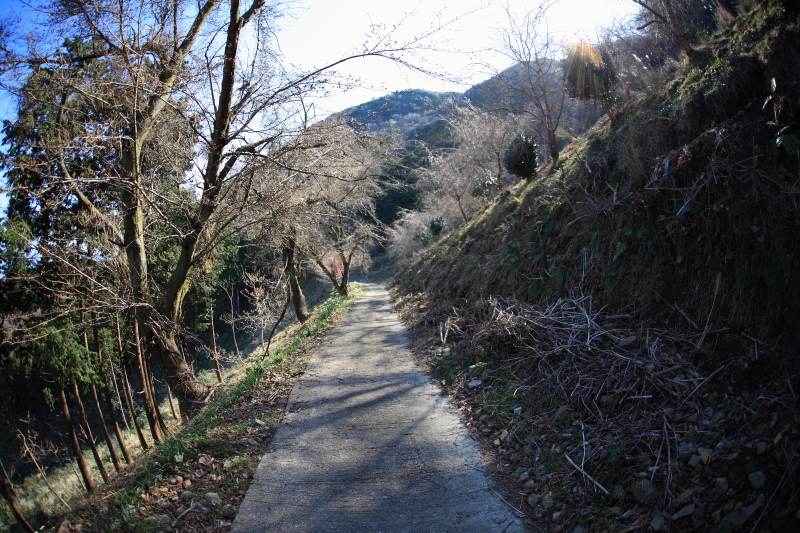 25.城山-葛城山_葛城山登山口方面