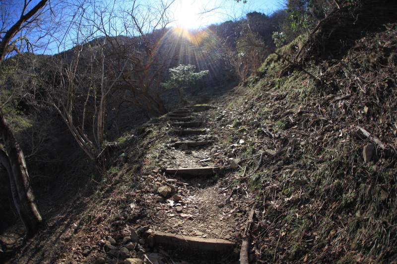 19.城山-葛城山_登山道