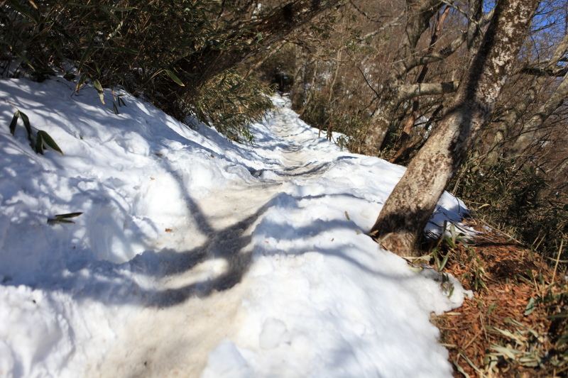 金時山山頂方面