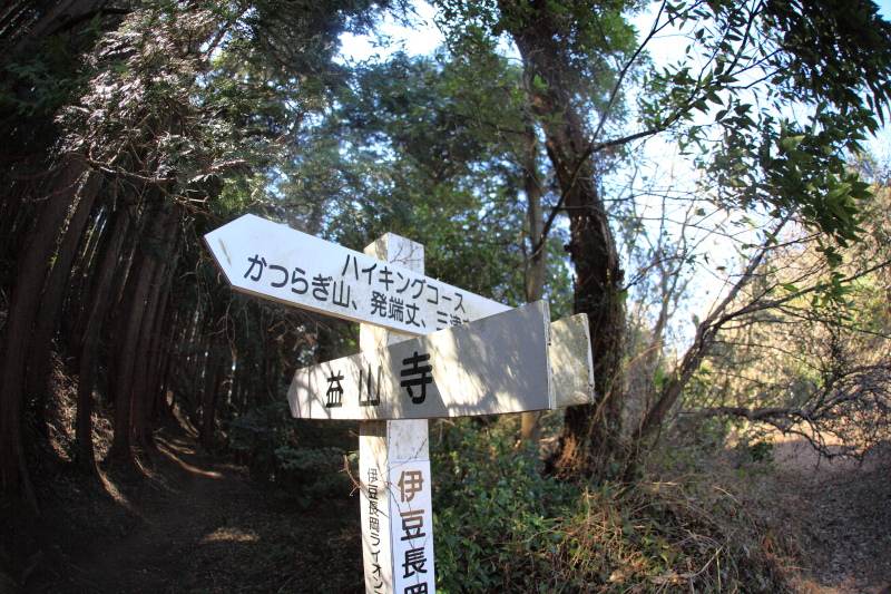 34.葛城山-発端丈山_益山寺分岐道標