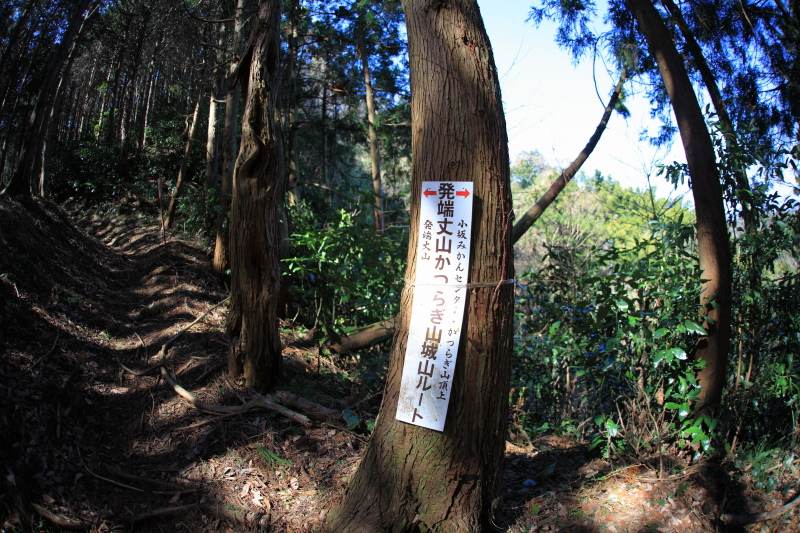 33.発端丈山-葛城山_分岐道標