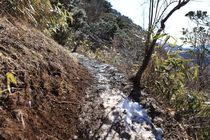 日向の登山道