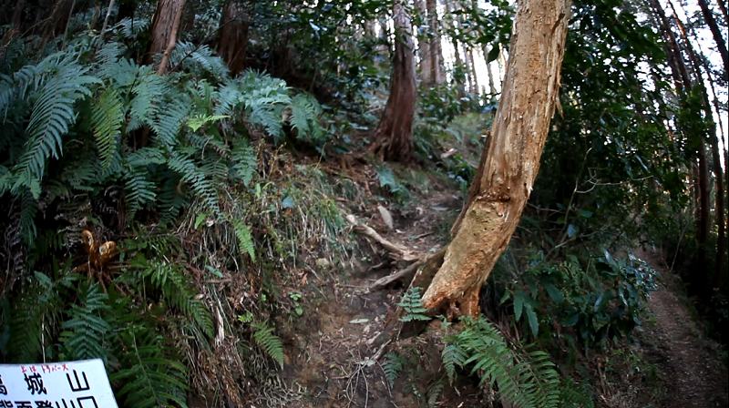 26.城山-葛城山_葛城山背面登山道