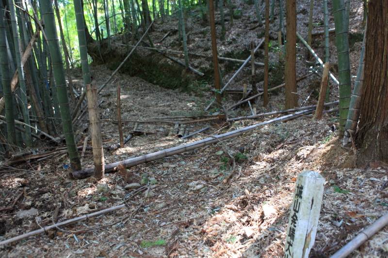 6.城山登山口-城山_分岐の先