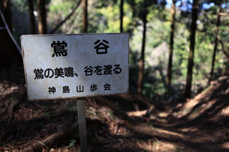 24.城山-葛城山_分岐道標(鶯谷)