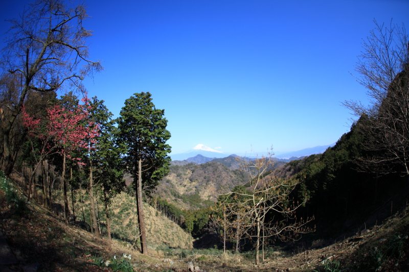 27.城山-葛城山_葛城山登山口付近からの富士山