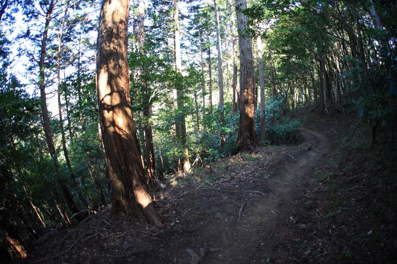 16.城山-葛城山_登山道