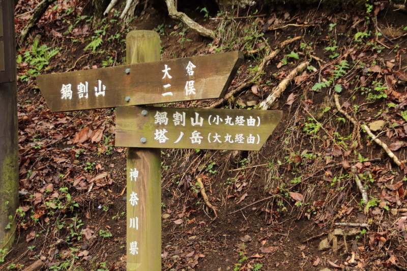 24.小丸経由分岐