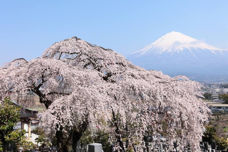 先照寺1-2