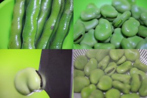 そら豆