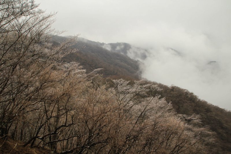 72.金冷し-塔ノ岳_登山道からの景色2