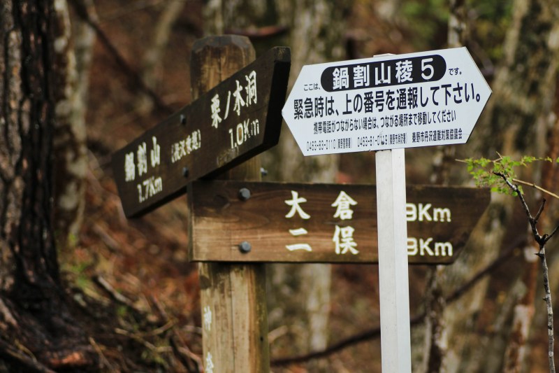 39.後沢乗越_道標