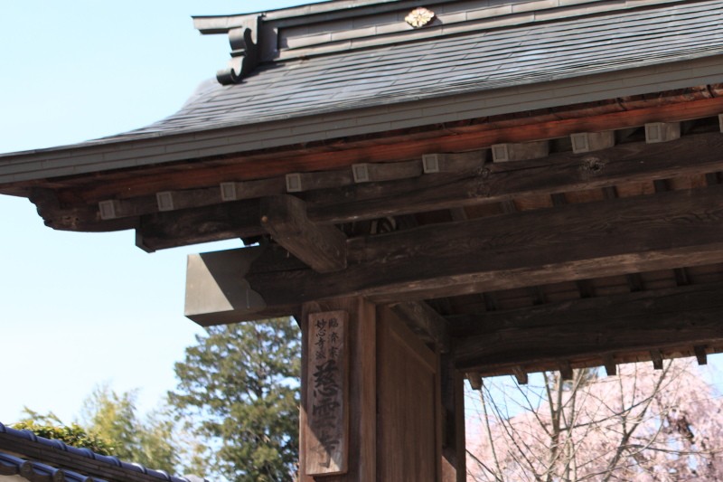 慈雲寺の門