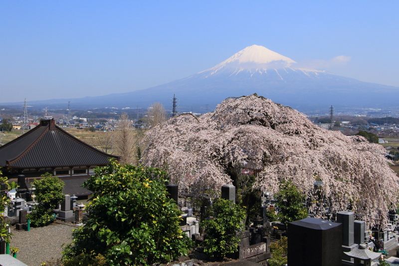 先照寺3